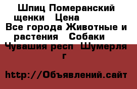 Шпиц Померанский щенки › Цена ­ 25 000 - Все города Животные и растения » Собаки   . Чувашия респ.,Шумерля г.